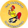 圣安娜合伙人